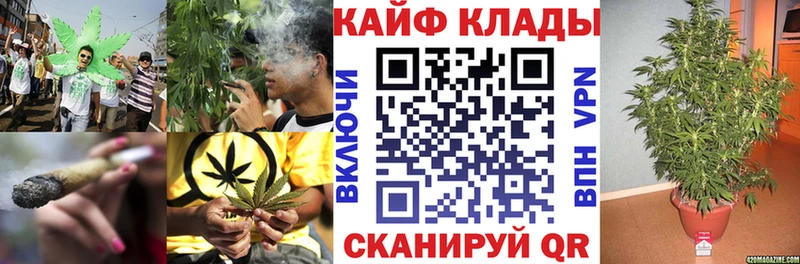 Где купить Альметьевск Бошки Шишки  Мефедрон  АМФ  Экстази  ГЕРОИН  Alpha-PVP  гидра   Гашиш 