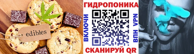 где купить наркоту  Альметьевск  ОМГ ОМГ маркетплейс  Печенье с ТГК конопля 