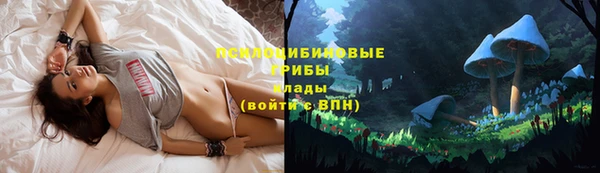 прущие крисы Елабуга