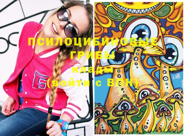 МДМА Елизово