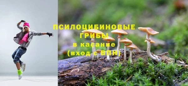 МДМА Елизово