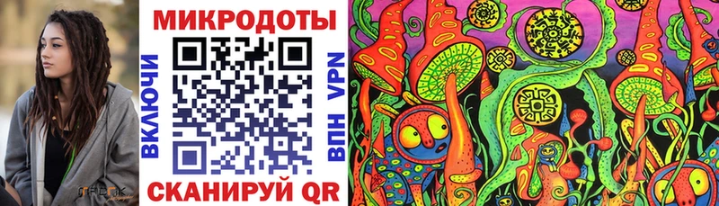 Галлюциногенные грибы Psilocybine cubensis  Альметьевск 