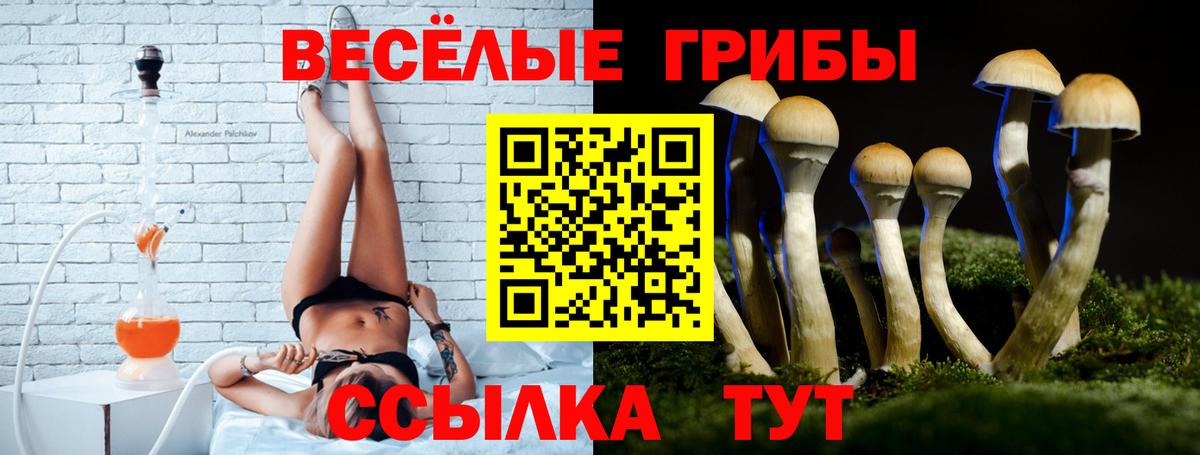 где можно купить наркотик  Вход с VPN  Альметьевск  Галлюциногенные грибы мицелий 